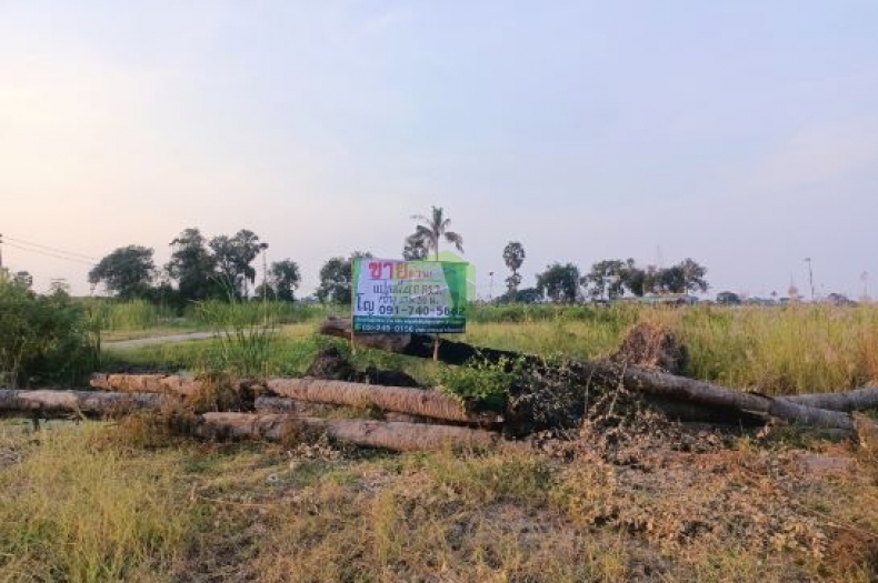 ขายที่ดิน บ้านแหลม เพชรบุรี เนื้อที่ 1 ไร่ ทำเลดี เหมาะปลูกบ้านพักอาศัย