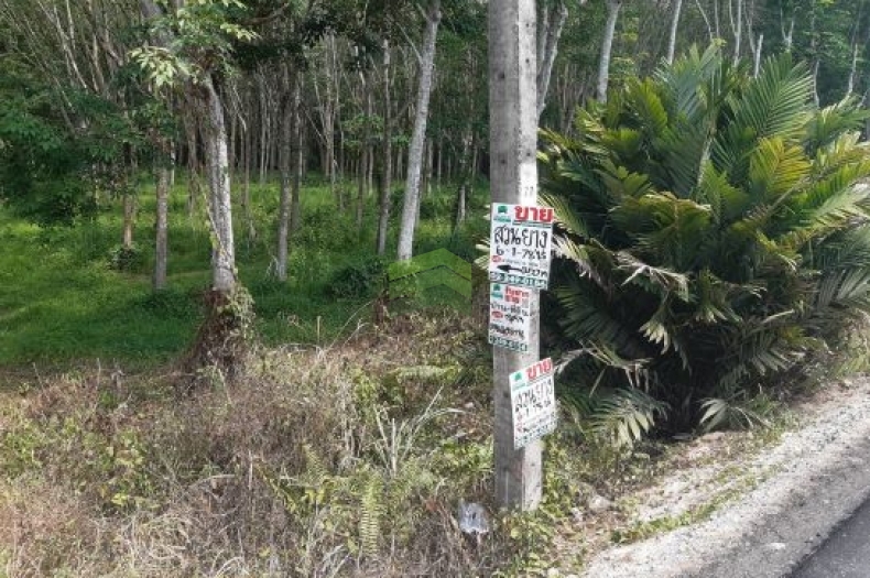 ขายที่ดิน สวนยางพารา เขาวังชิง คลองหอยโข่ง สงขลา เนื้อที่ 6 ไร่ 1 งาน 76.20 ตารางวา ทำเลดี ติดถนน พร้อมทำประโยชน์