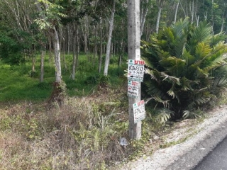 N0602799, ขายที่ดิน สวนยางพารา เขาวังชิง คลองหอยโข่ง สงขลา เนื้อที่ 6 ไร่ 1 งาน 76.20 ตารางวา ทำเลดี ติดถนน พร้อมทำประโยชน์