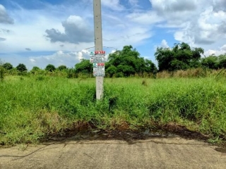 ที่ดินฉลองกรุงการ์เด้นท์ 