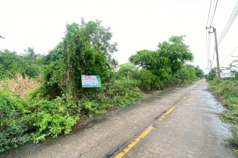 ที่ดินไทรน้อย บางบัวทอง