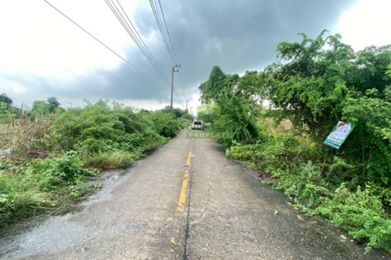 ที่ดินไทรน้อย บางบัวทอง