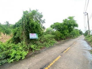 ที่ดินไทรน้อย บางบัวทอง
