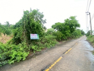 ที่ดินไทรน้อย บางบัวทอง