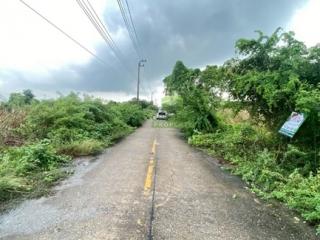 ที่ดินไทรน้อย บางบัวทอง