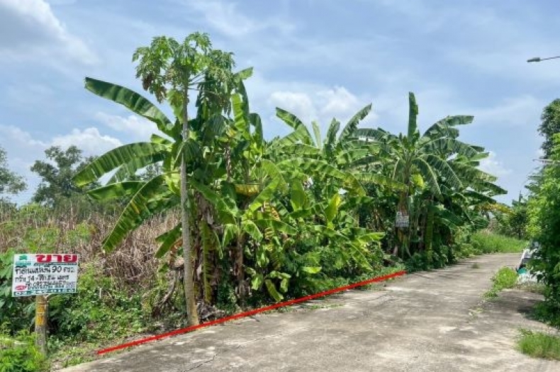 ขายที่ดินเลียบวารี59 หนองจอก เนื้อที่ 90 ตร.ว ทำเลดี เหมาะปลูกบ้านพักอาศัย โกดัง  