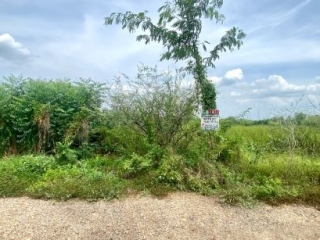 N0602876, ขายที่ดินบ้านนา นครนายก เนื้อที่ 78 ตร.ว แปลงสวย ใกล้วัดคลอง31 ราคาถูก  