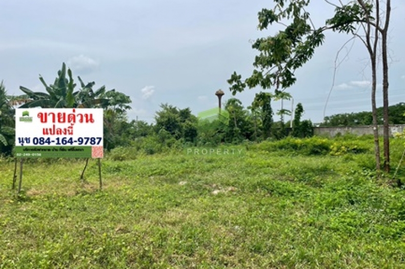 ที่ดินปากพูน นครศรีธรรมราช