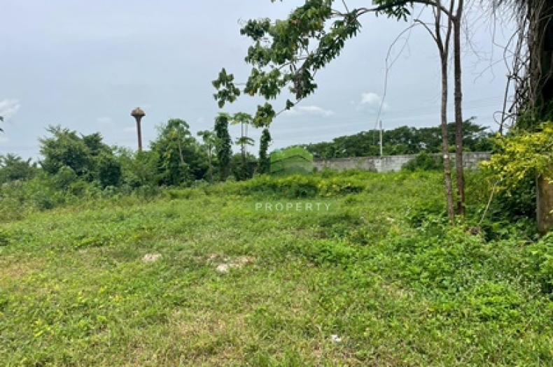 ที่ดินปากพูน นครศรีธรรมราช