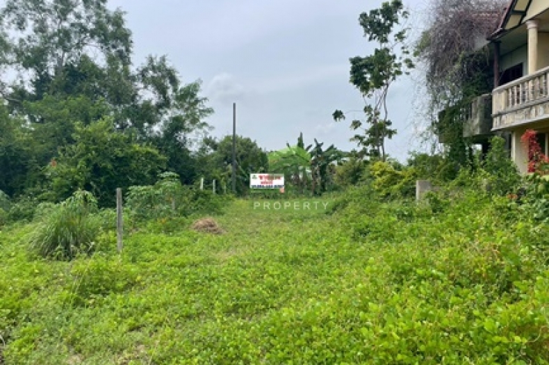 ที่ดินปากพูน นครศรีธรรมราช