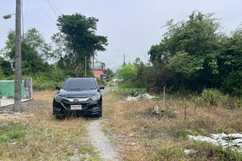 ที่ดินปากพูน นครศรีธรรมราช