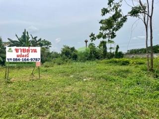 ที่ดินปากพูน นครศรีธรรมราช