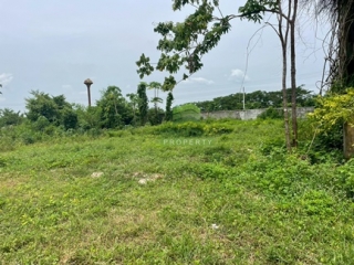 ที่ดินปากพูน นครศรีธรรมราช