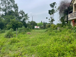 ที่ดินปากพูน นครศรีธรรมราช