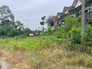 ที่ดินปากพูน นครศรีธรรมราช