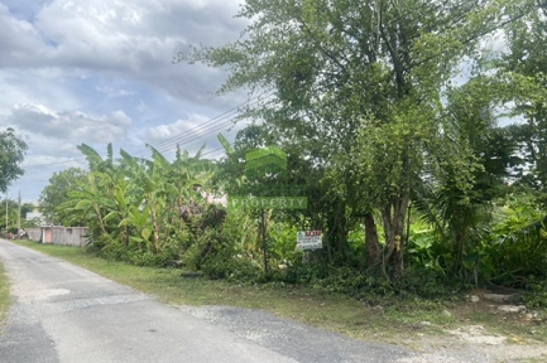 ที่ดินบางกรวย-ไทรน้อย