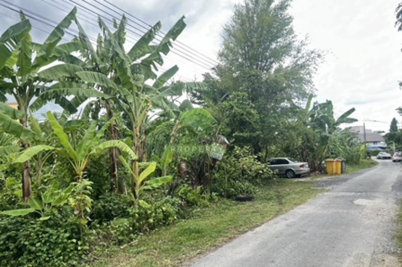 ที่ดินบางกรวย-ไทรน้อย