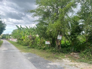 ที่ดินบางกรวย-ไทรน้อย