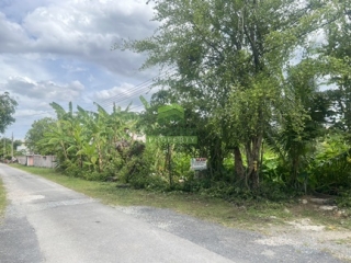 ที่ดินบางกรวย-ไทรน้อย