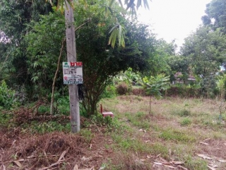 N0602900, ขายที่ดินซอยเวฬุวัน2 เมือง ยะลา เนื้อที่ 183 ตารางวา แปลงสวย ทำเลดี ใกล้ตัวเมืองยะลา