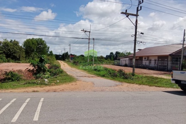 ที่ดินท่าช้าง บางกล่ำ 