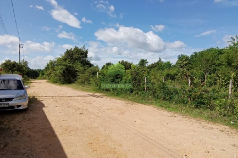 ที่ดินท่าช้าง บางกล่ำ 
