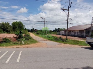 ที่ดินท่าช้าง บางกล่ำ 