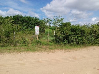 ที่ดินท่าช้าง บางกล่ำ 