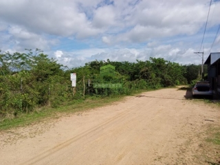 ที่ดินท่าช้าง บางกล่ำ 
