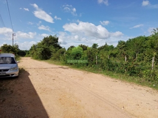 ที่ดินท่าช้าง บางกล่ำ 