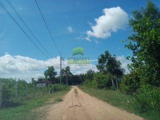 ที่ดินท่าช้าง บางกล่ำ 