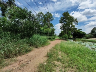 ที่ดินรังสิต-นครนายก27