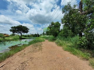 ที่ดินรังสิต-นครนายก27