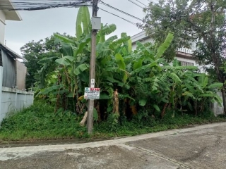 ที่ดินเปล่า หมู่บ้านธารารมณ์ รามคำแหง 150