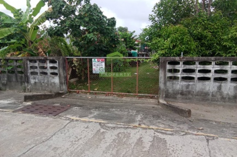 ที่ดินบางนาค นราธิวาส 