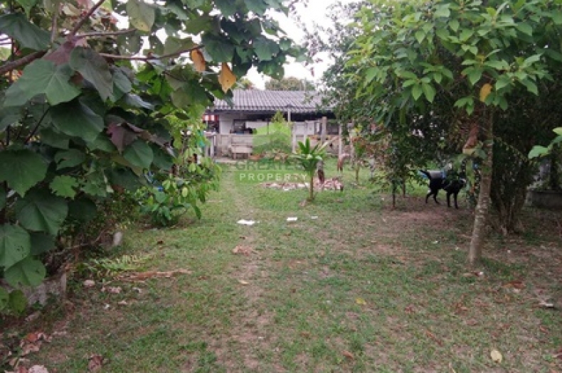 ที่ดินบางนาค นราธิวาส 