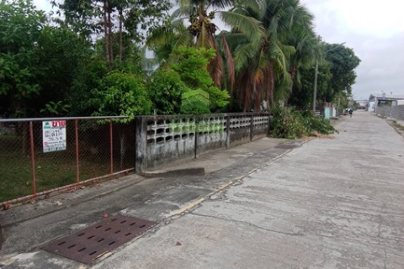 ที่ดินบางนาค นราธิวาส 