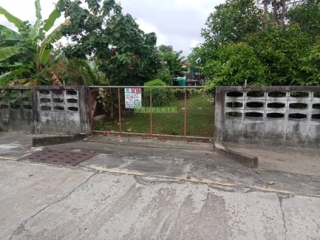 ที่ดินบางนาค นราธิวาส 