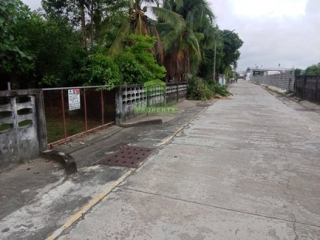 ที่ดินบางนาค นราธิวาส 