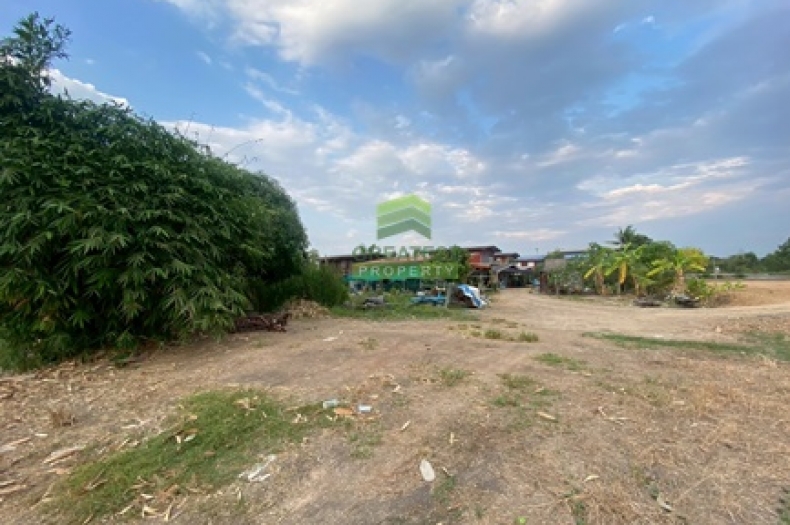 ที่ดินหนองเสือ คลอง14 ปทุมธานี