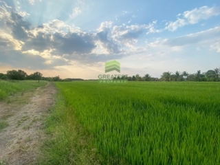 ที่ดินหนองเสือ คลอง14 ปทุมธานี