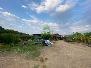 ที่ดินหนองเสือ คลอง14 ปทุมธานี