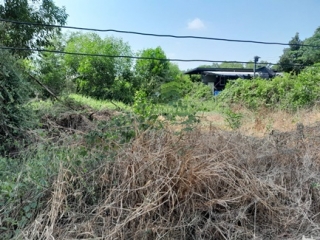 ขาย ที่ดินคลองห้า ตะวันออก30
