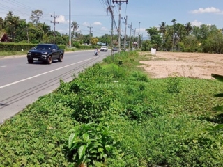 ขาย ที่ดินสะเตงนอก ยะลา