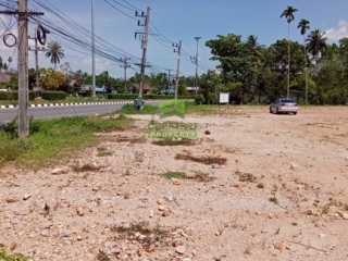 ขาย ที่ดินสะเตงนอก ยะลา