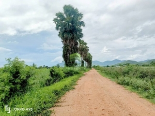 ที่ดินห้วยทรายเหนือ ชะอำ สร้างบ้าน