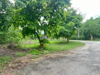 ที่ดินพุหวาย ห้วยทรายเหนือ ชะอำ