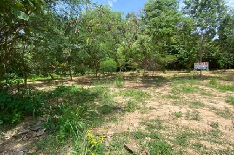 ที่ดินสวนบรรยากาศธรรมชาติบางเสร่ 
