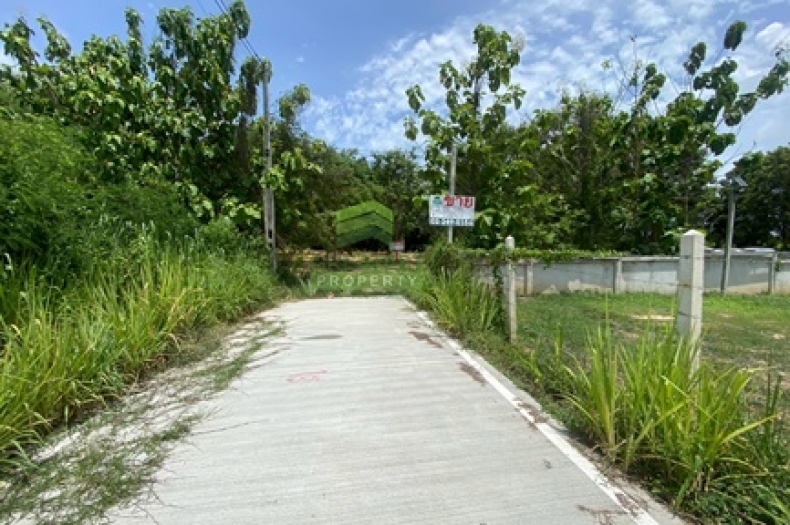 ที่ดินสำหรับทำโฮมสเตย์บางเสร่ 