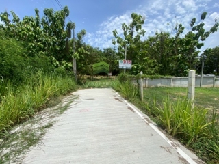 ที่ดินสำหรับทำโฮมสเตย์บางเสร่ 
